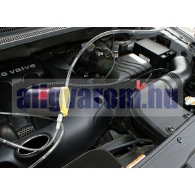   Olaj fáradtolaj szivattyú és üzemanyag átfejtő pumpa 12V 60W gázolaj szivattyú