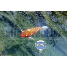   Adó-vevős medence uszodavíz hőmérő Rádiós hőmérséklet mérő páratartalom mérővel