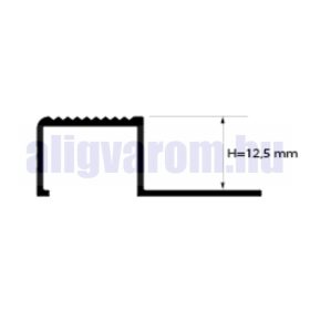   AV Lépcsőszegély szögletes Pezsgő-titán 12x2700 mm eloxált alumínium lépcsőprofil