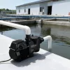 1350W fordulatszám-szabályozható medenceszivattyú 30 000 l/óra, WiFi vezérléssel