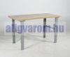 Műhelyasztal ipari kivitel 1600 mm 500 kg teherbírás állítható magasság 740-1100 mm 5 cm asztallap m