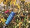 1 körös napelemes öntözőrendszer, akár 20 kis növény öntözésére is alkalmas. Locsolás, csöpögtetés, 