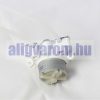 Perisztaltikus vagy laborpumpa PP6V1W5-2