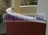 OX Flexi Priamy hajlítható vízvető Natúr alumínium erkély terasz élvédő görbíthető flexibilis élzáró teraszszegély