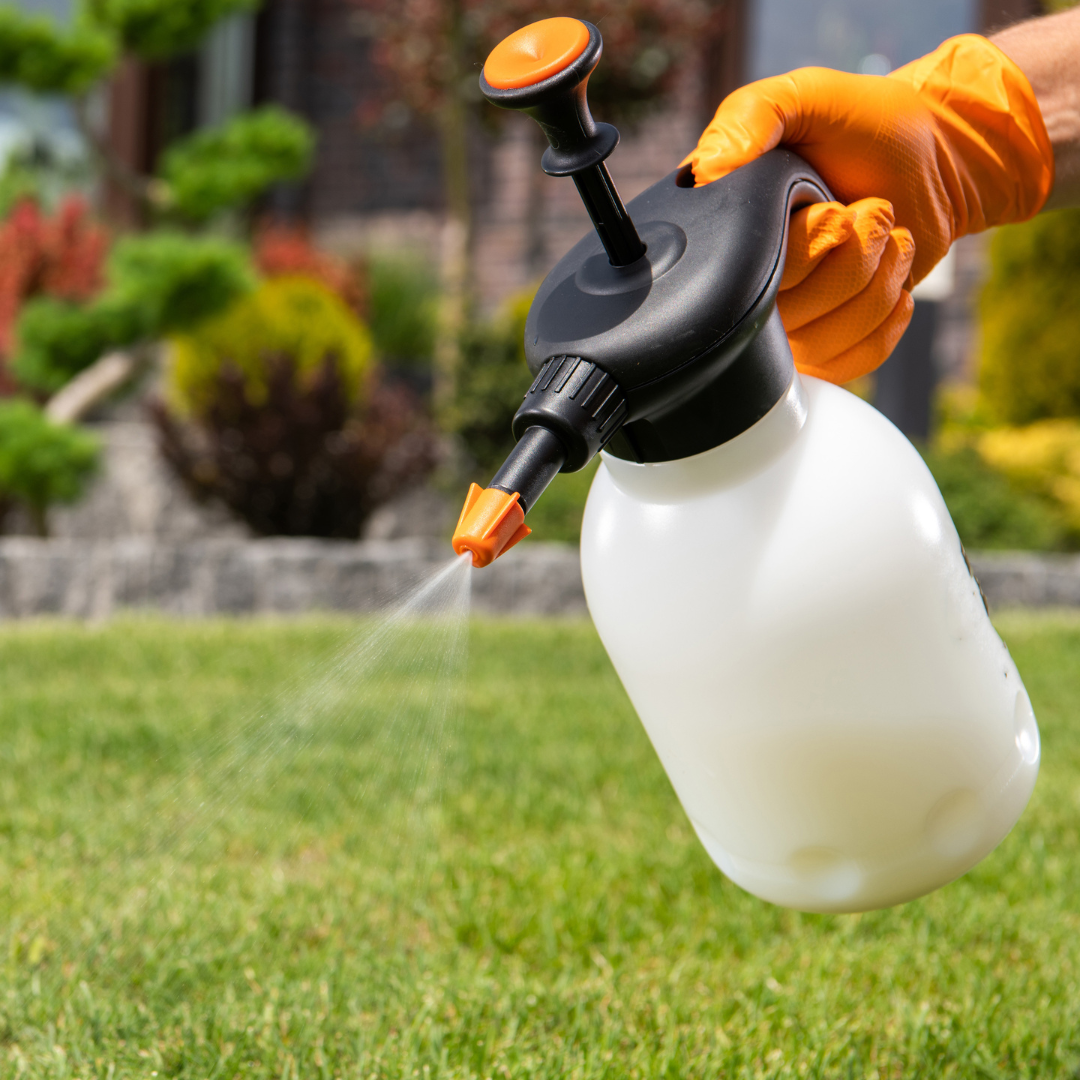 Permetezőgép – Segítség a növényápolásban